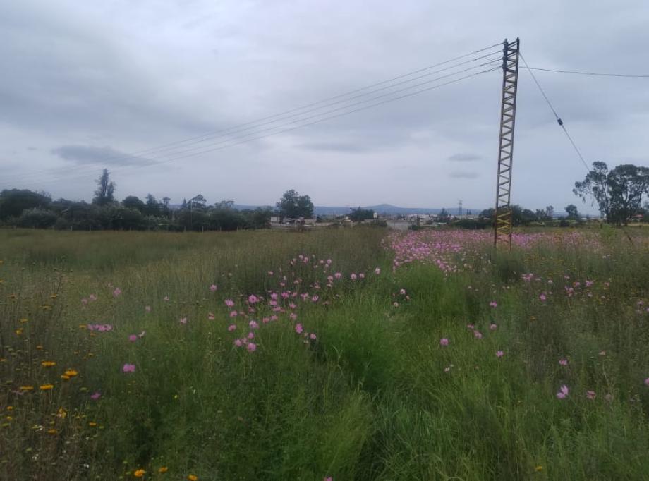 Jilotepec, Estado de méxico, 54250, Mexico, 1 Bedroom Bedrooms, ,Residential,For Sale,1940840