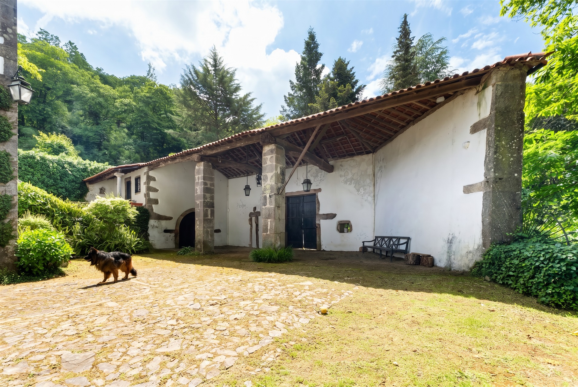  Farm, 10 bedrooms, for Sale - 物件實景