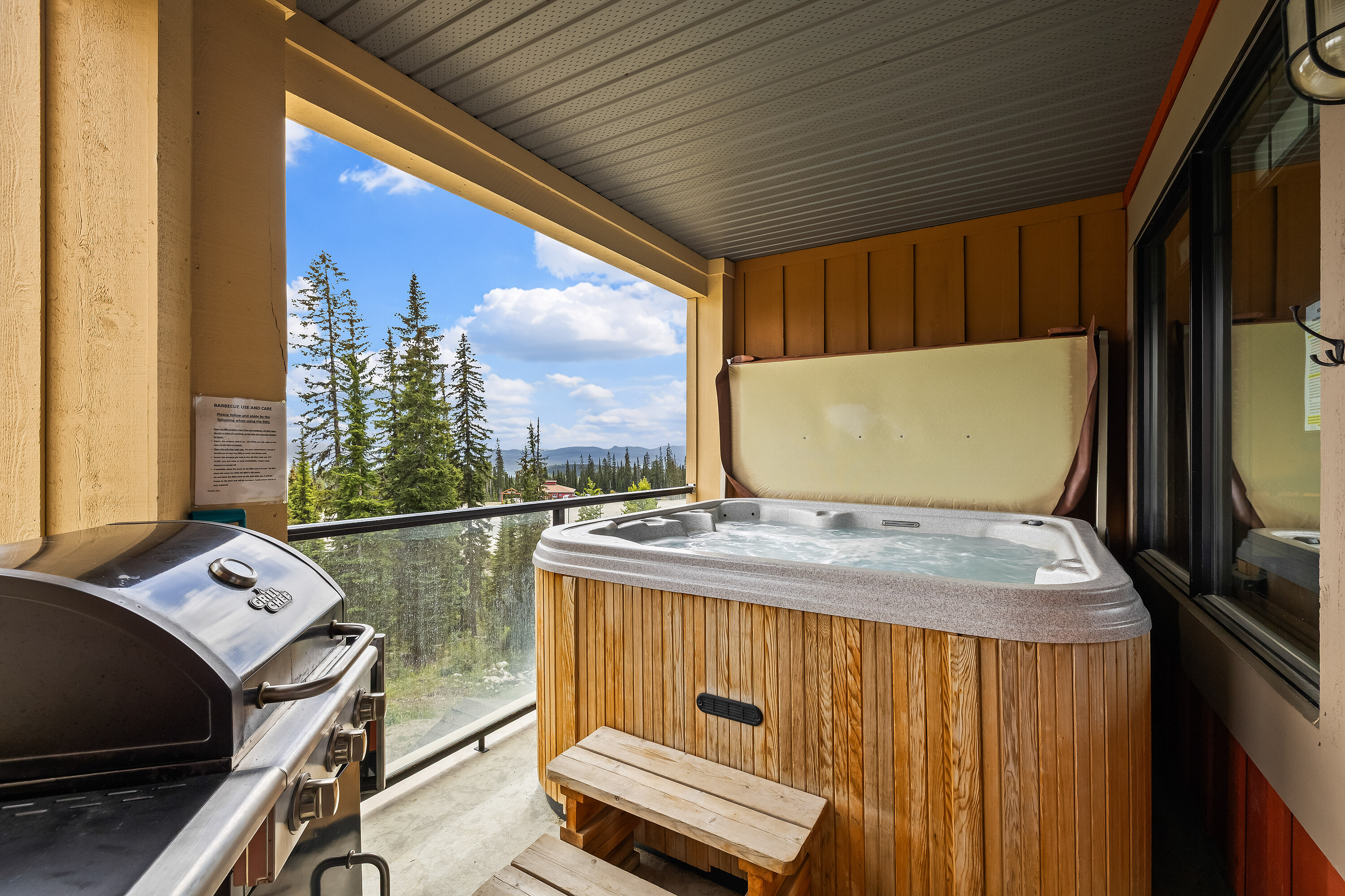  The Timbers at Big White - 物件實景
