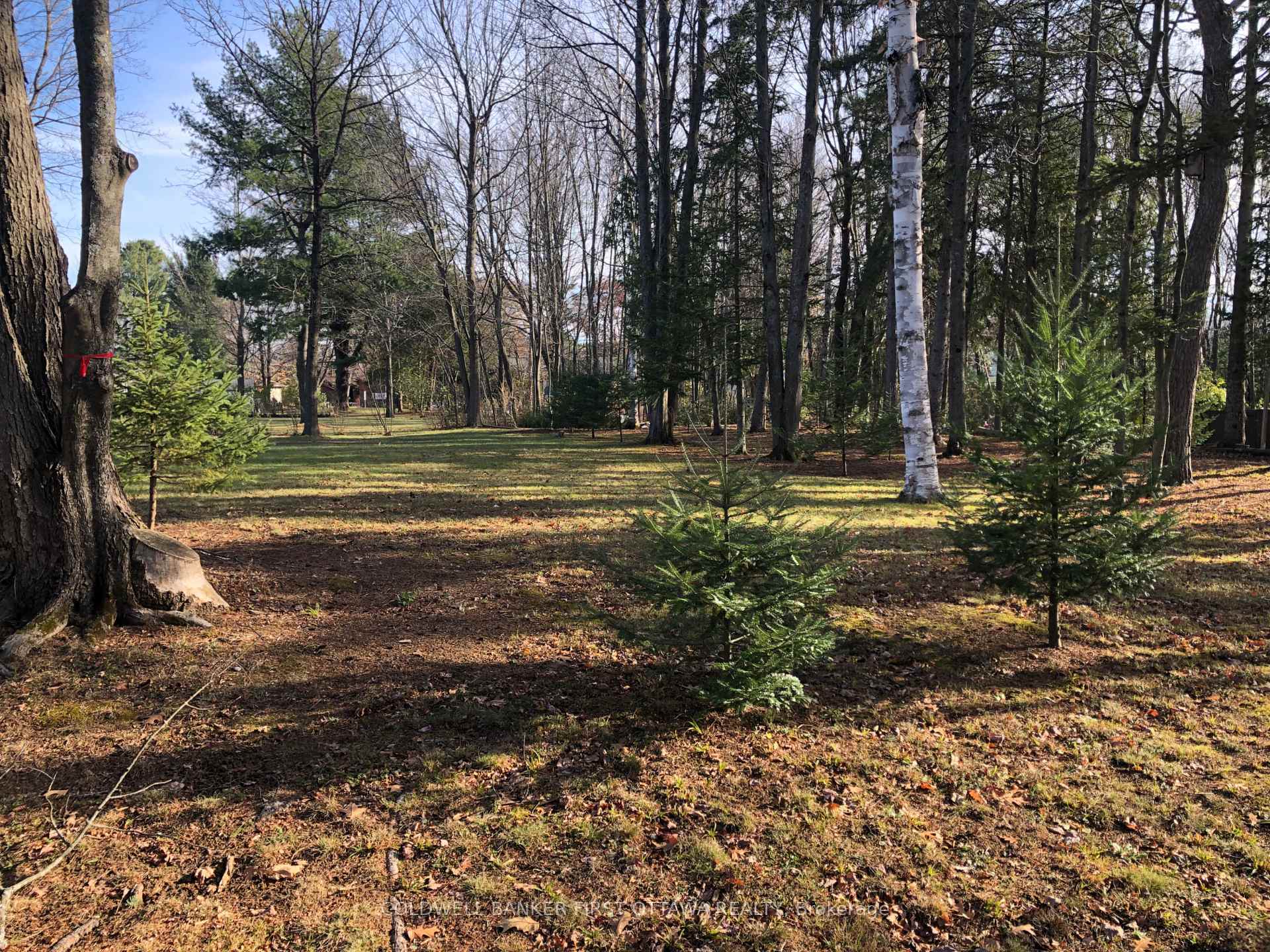 TANGLEWOOD - GRENFELL GLEN - PINEGLEN, Ontario, K2G 0C2, CA, ,Residential,For Sale,1865679