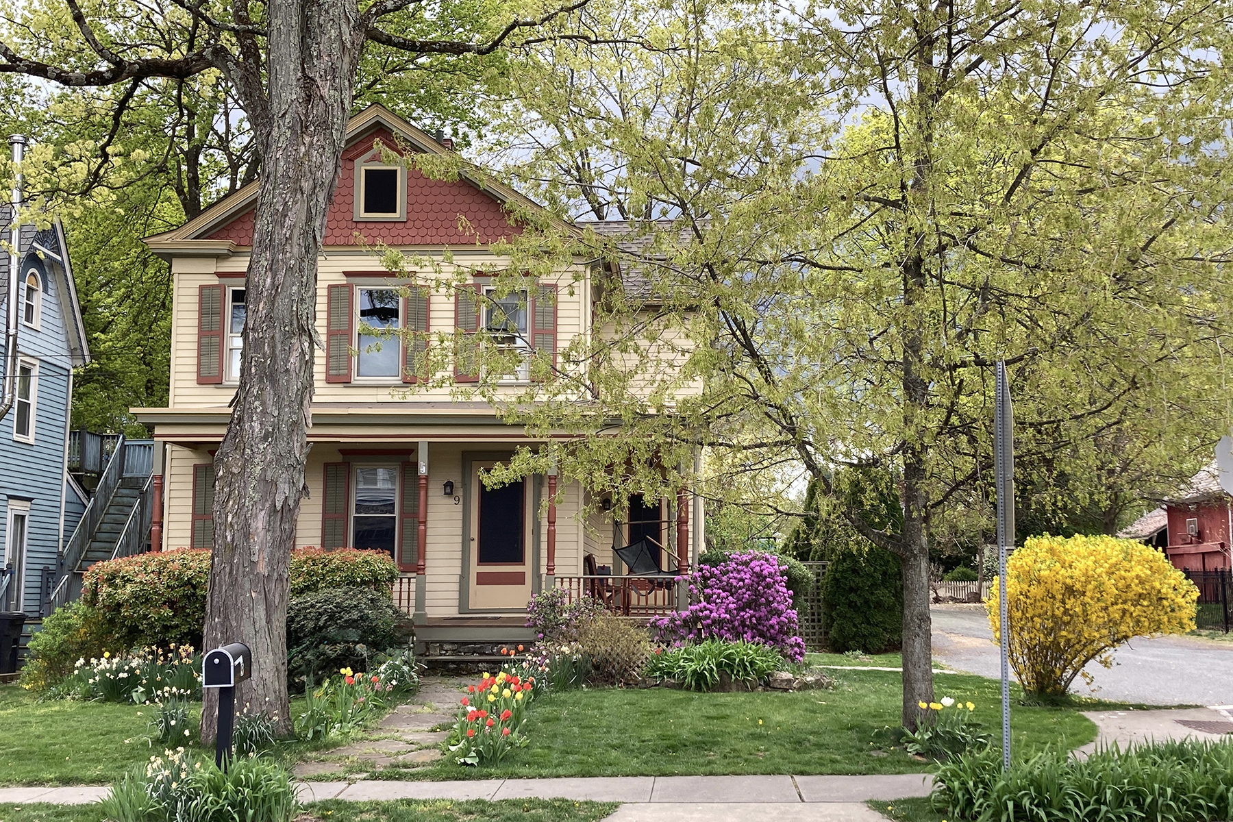  Classic Architectural Details in the Heart of Annandale - 物件實景