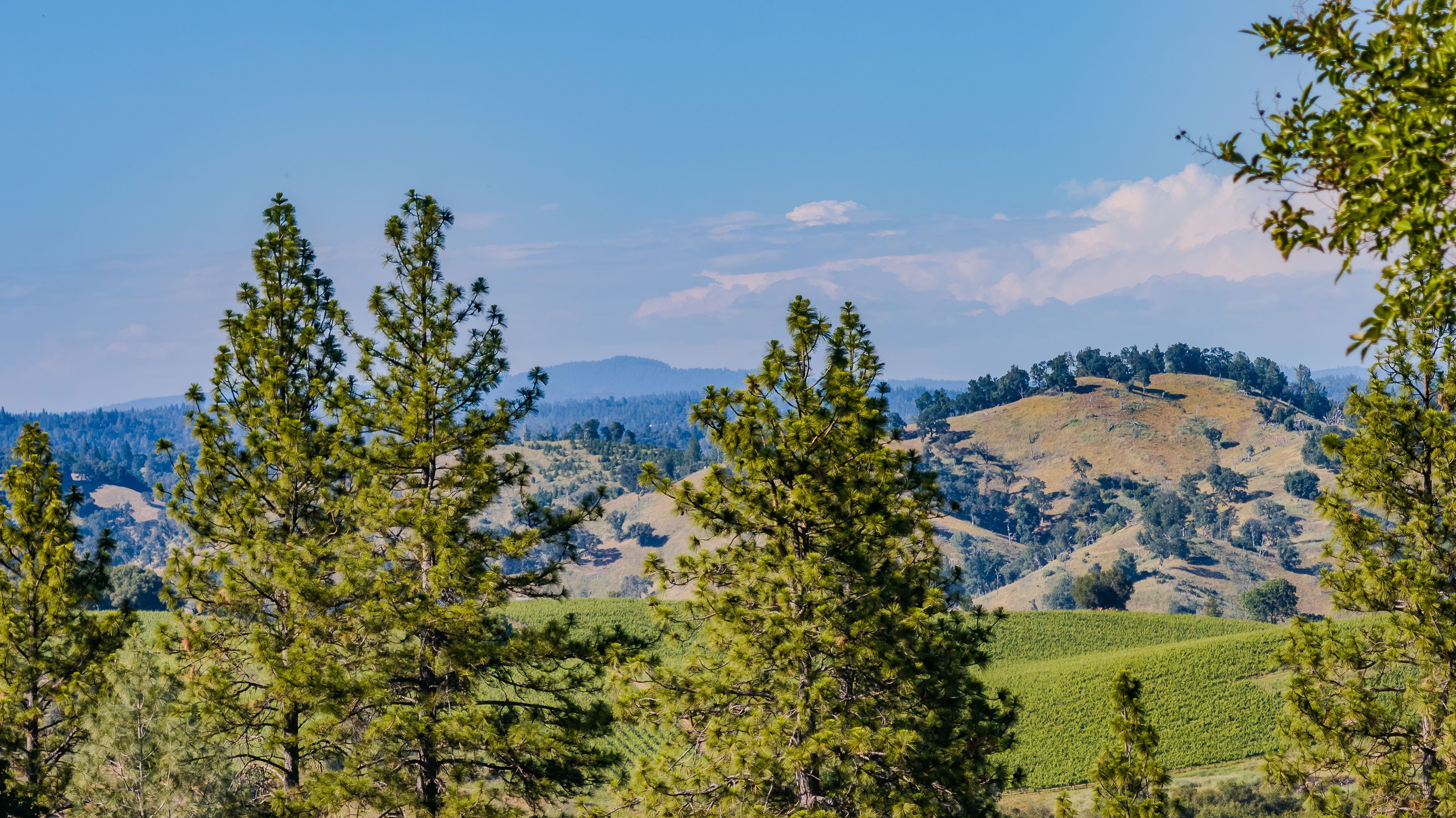  12551 Steiner Road, Plymouth, CA 95669 - 物件實景