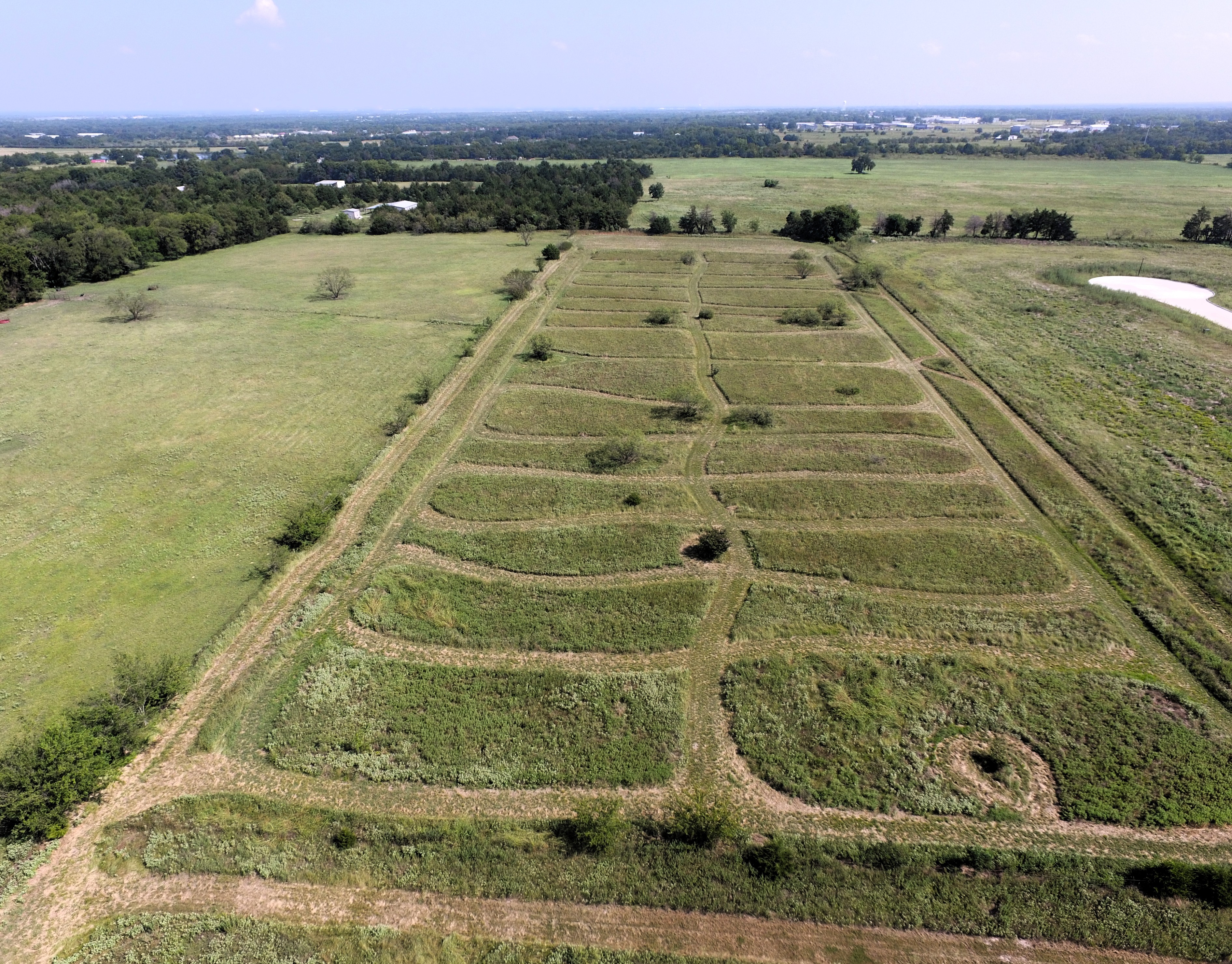 Greenville, Texas, 75402, United States, 3 Bedrooms Bedrooms, ,2 BathroomsBathrooms,Residential,For Sale,1978816