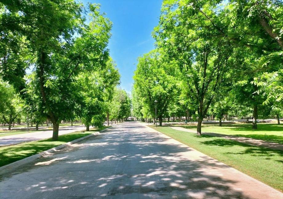 HACIENDA DEL NOGAL, Durango, Durango, 34194, Mexico, 1 Bedroom Bedrooms, ,Residential,For Sale,HACIENDA DEL NOGAL,1416292