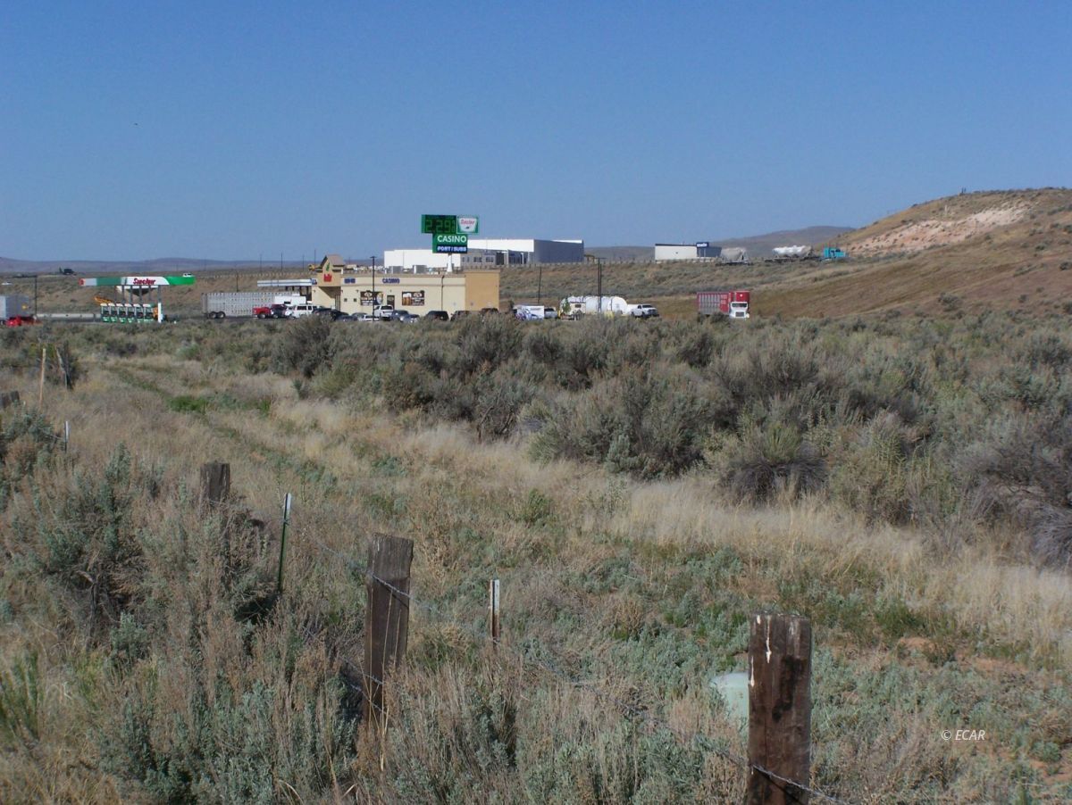 Elko, Nevada, 89801, United States, ,Land,For Sale,1838764