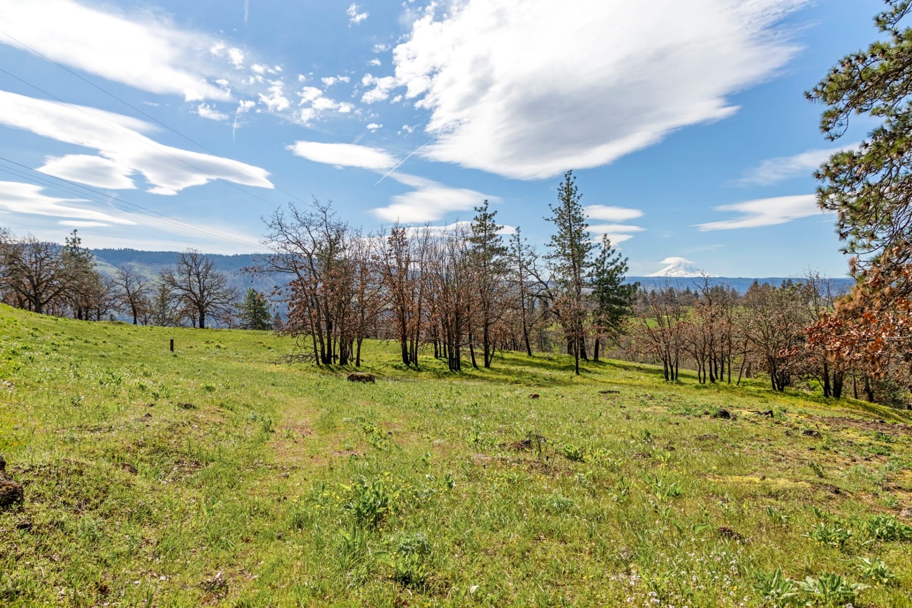  10 CANYON RD Lyle, WA 98635 - 物件實景
