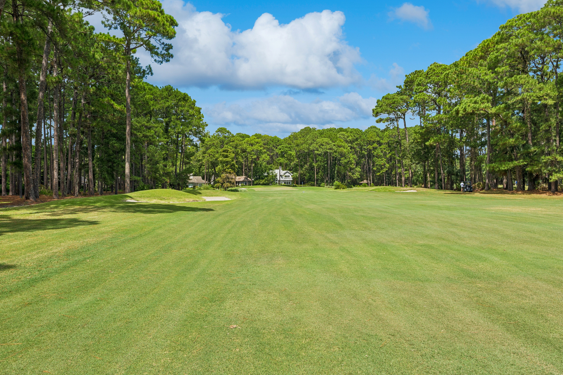  62 Cypress Marsh Drive, Hilton Head Island - 物件實景