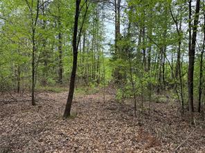 Naples, Texas, 75568, United States, ,Land,For Sale,1786234