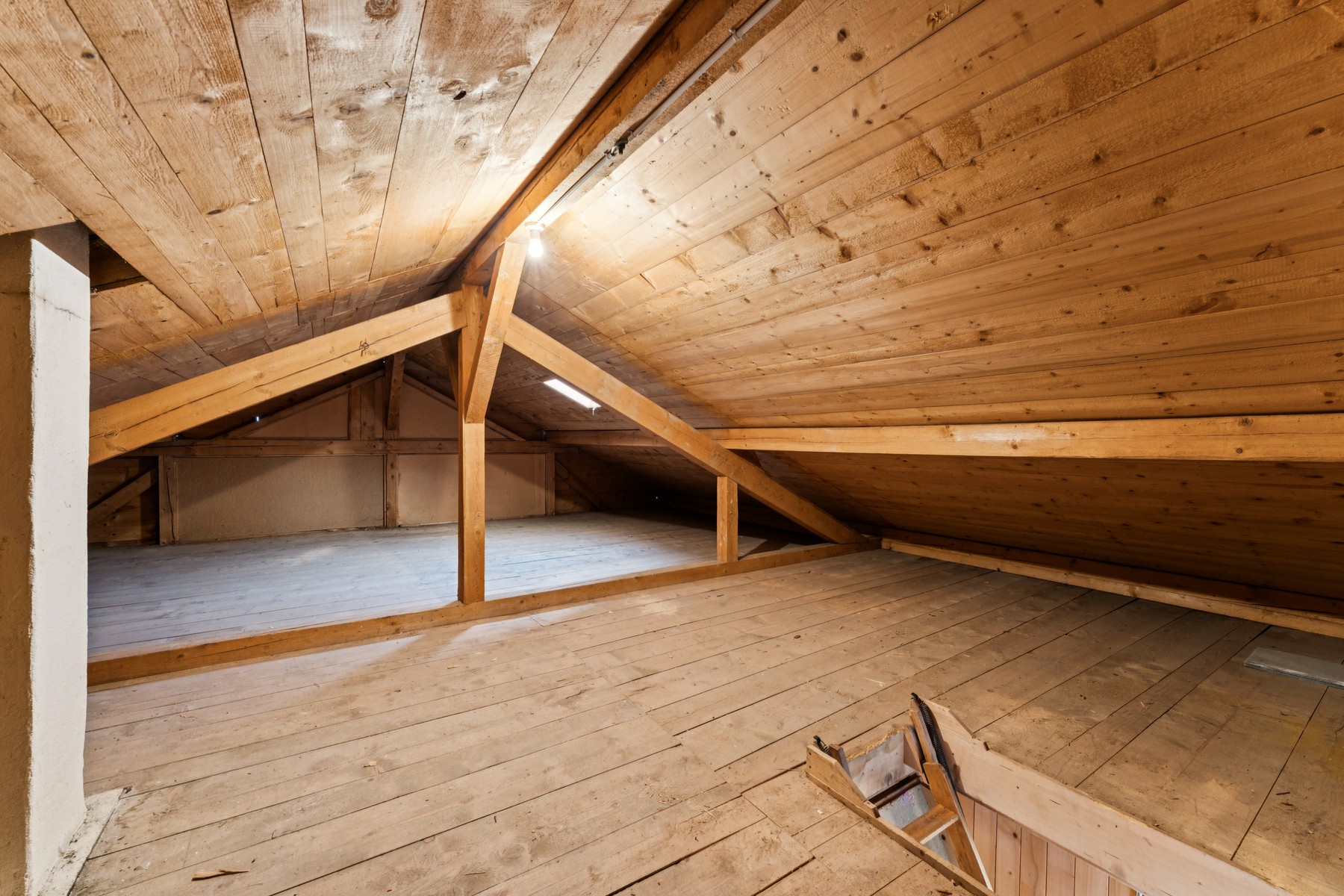 A two-unit chalet with exceptional views - 物件實景
