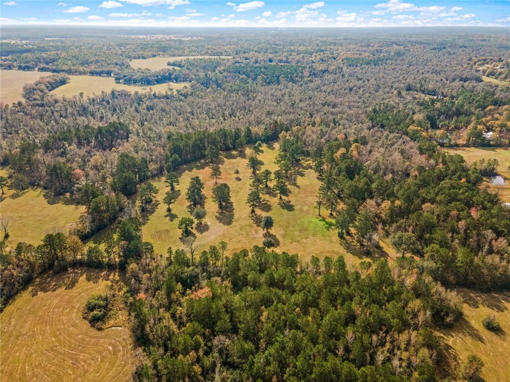 227.5 Acres Old Military (hwy 1082) Road, Bush, Louisiana, 70431, United States, ,Land,For Sale,227.5 Acres Old Military (hwy 1082) Road,1434121