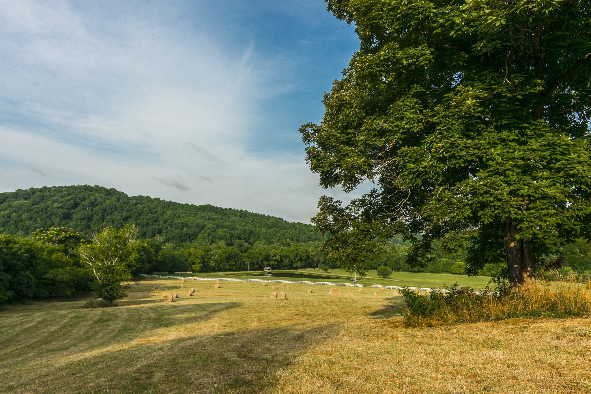 Hendersonville, Tennessee, 37075, United States, ,Residential,For Sale,1869992