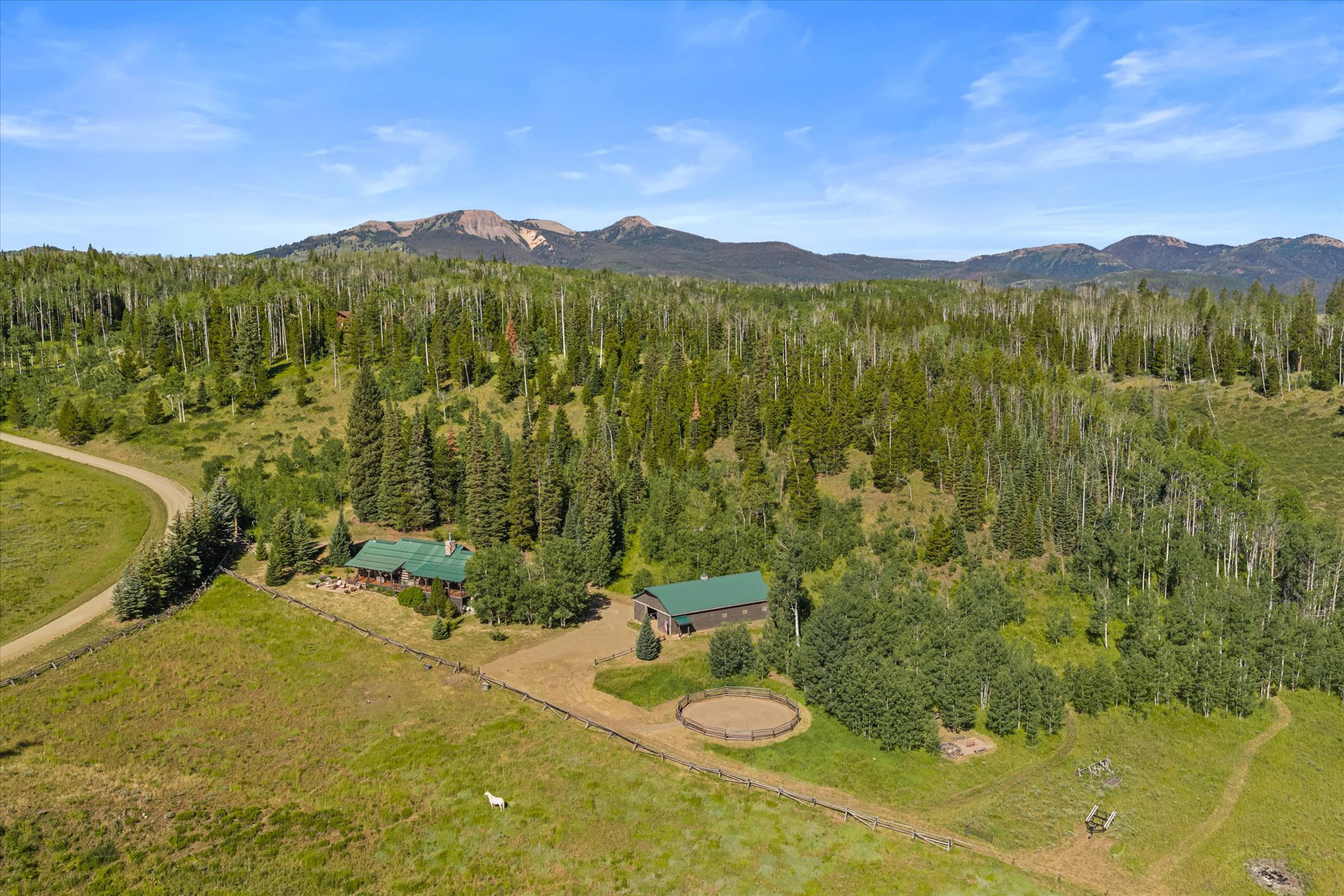  59205 Button Willow Drive, Clark, CO, 80428 - 物件實景