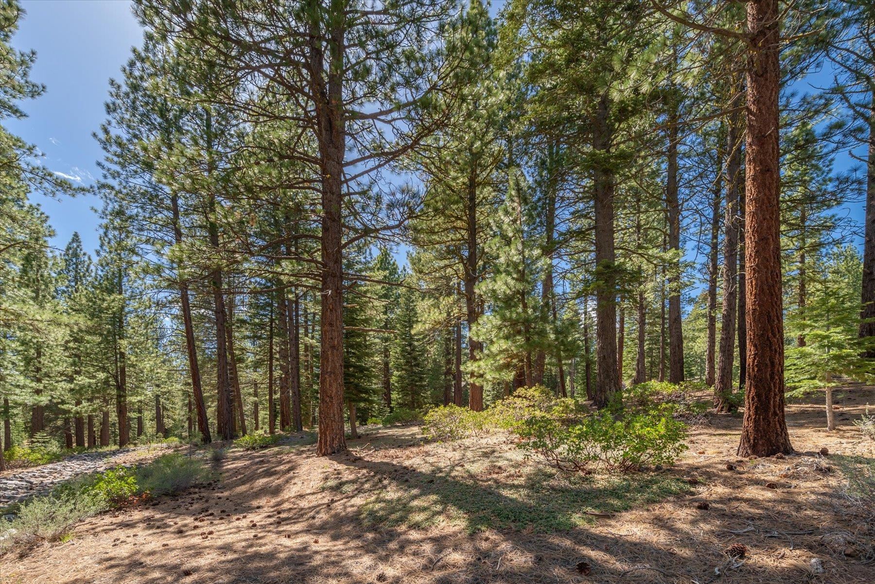 Truckee, California, 96161, United States, ,Land,For Sale,1828145