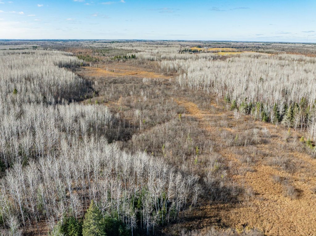 Grand Rapids, Minnesota, 55744, United States, ,Land,For Sale,1983791