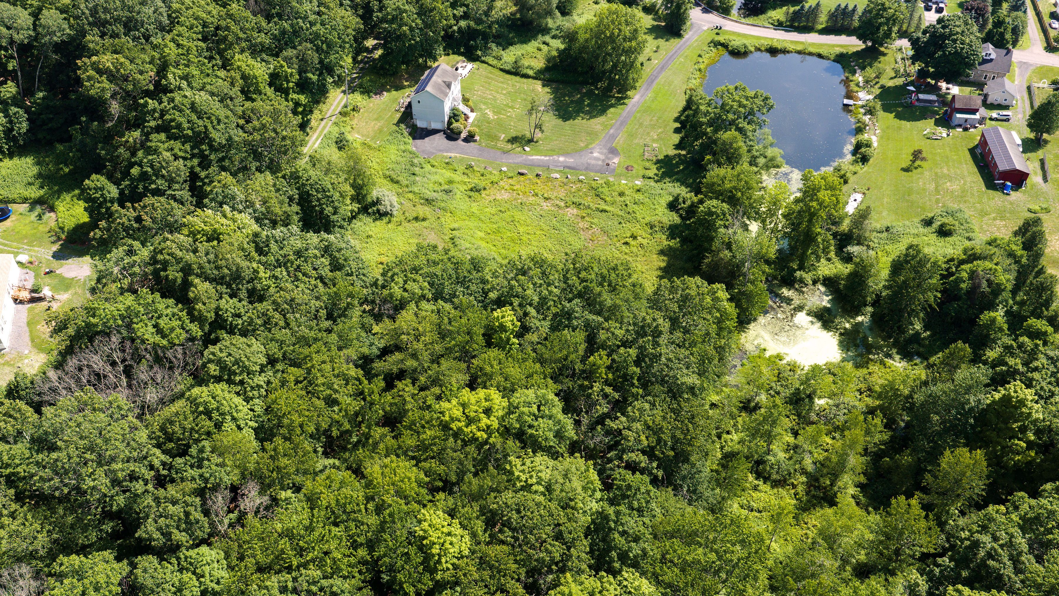  19 Spruce Street, Highland, NY 12528 - 物件實景