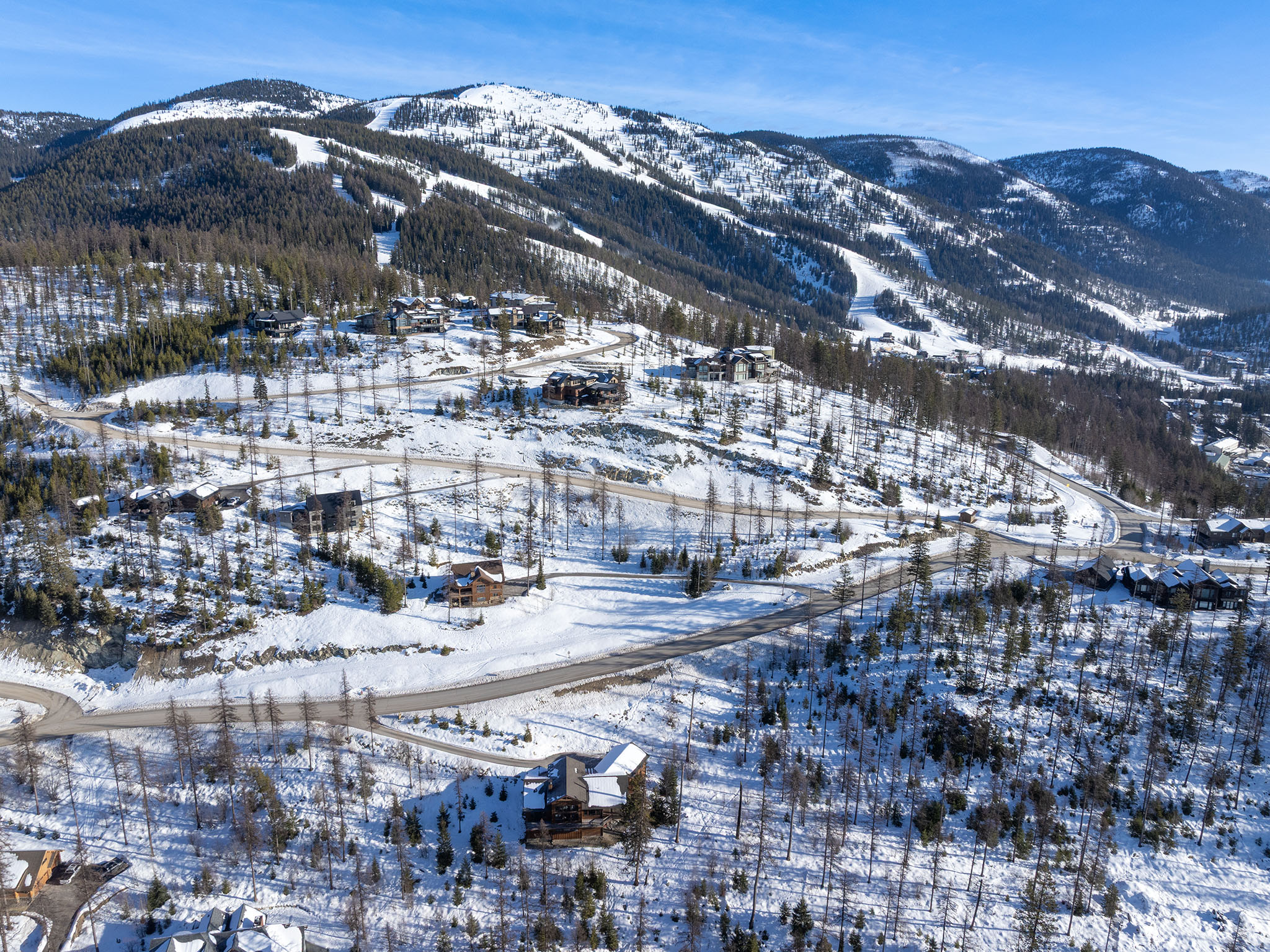  317 Elk Highlands Drive - 物件實景