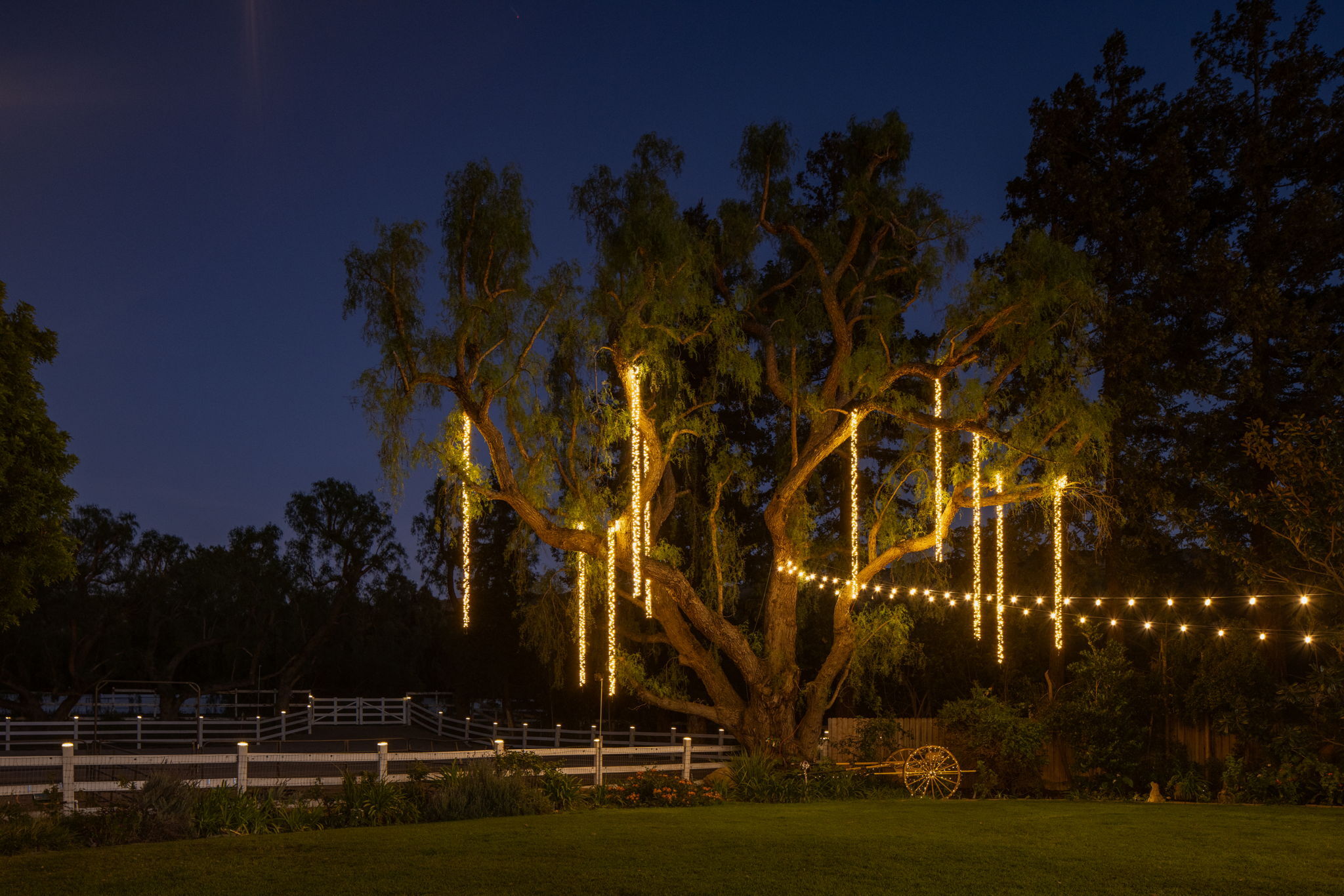  2390 Glenside Lane - 物件實景