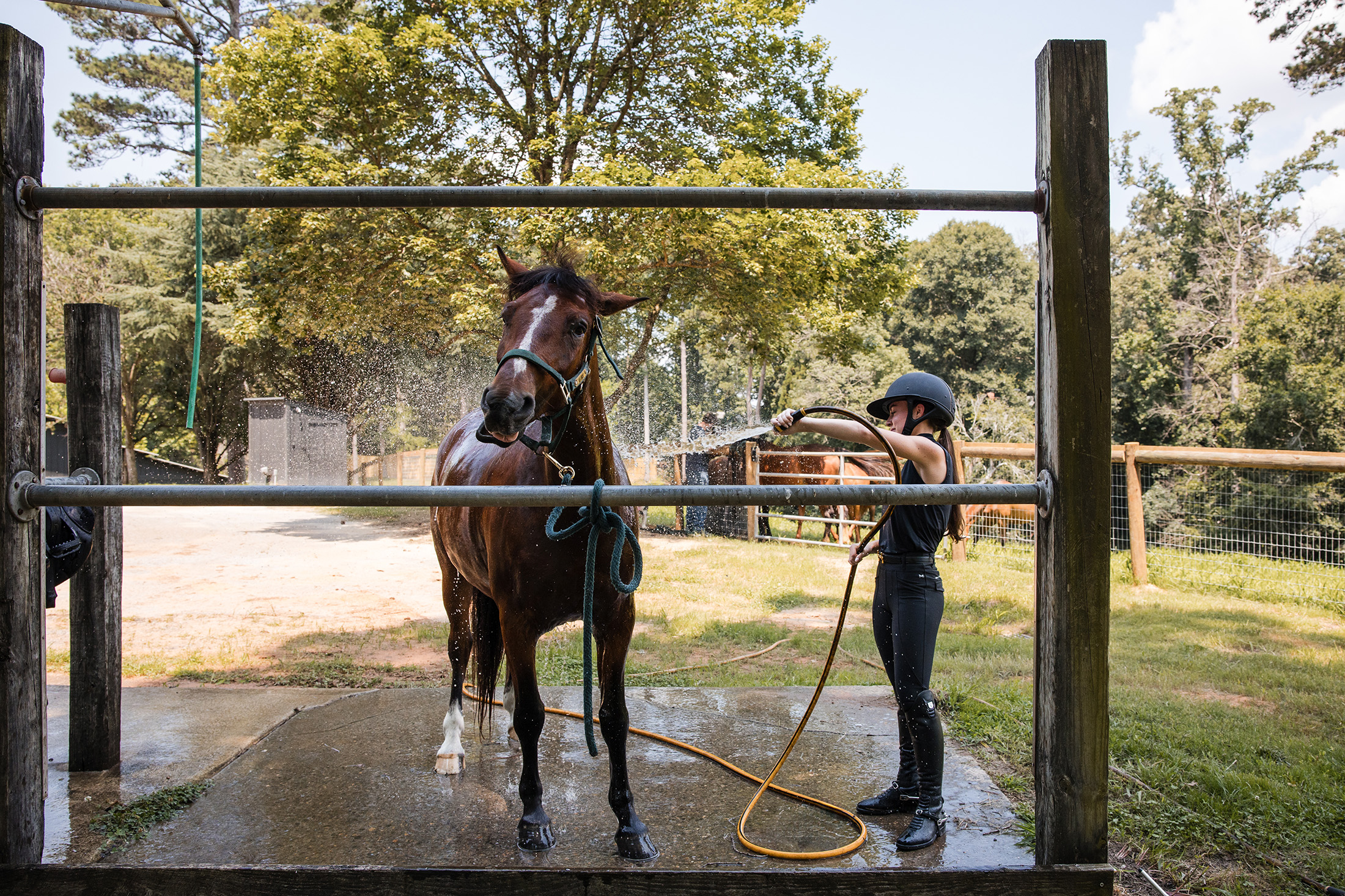  Rare Equestrian Facility with Prestigious Address - 物件實景