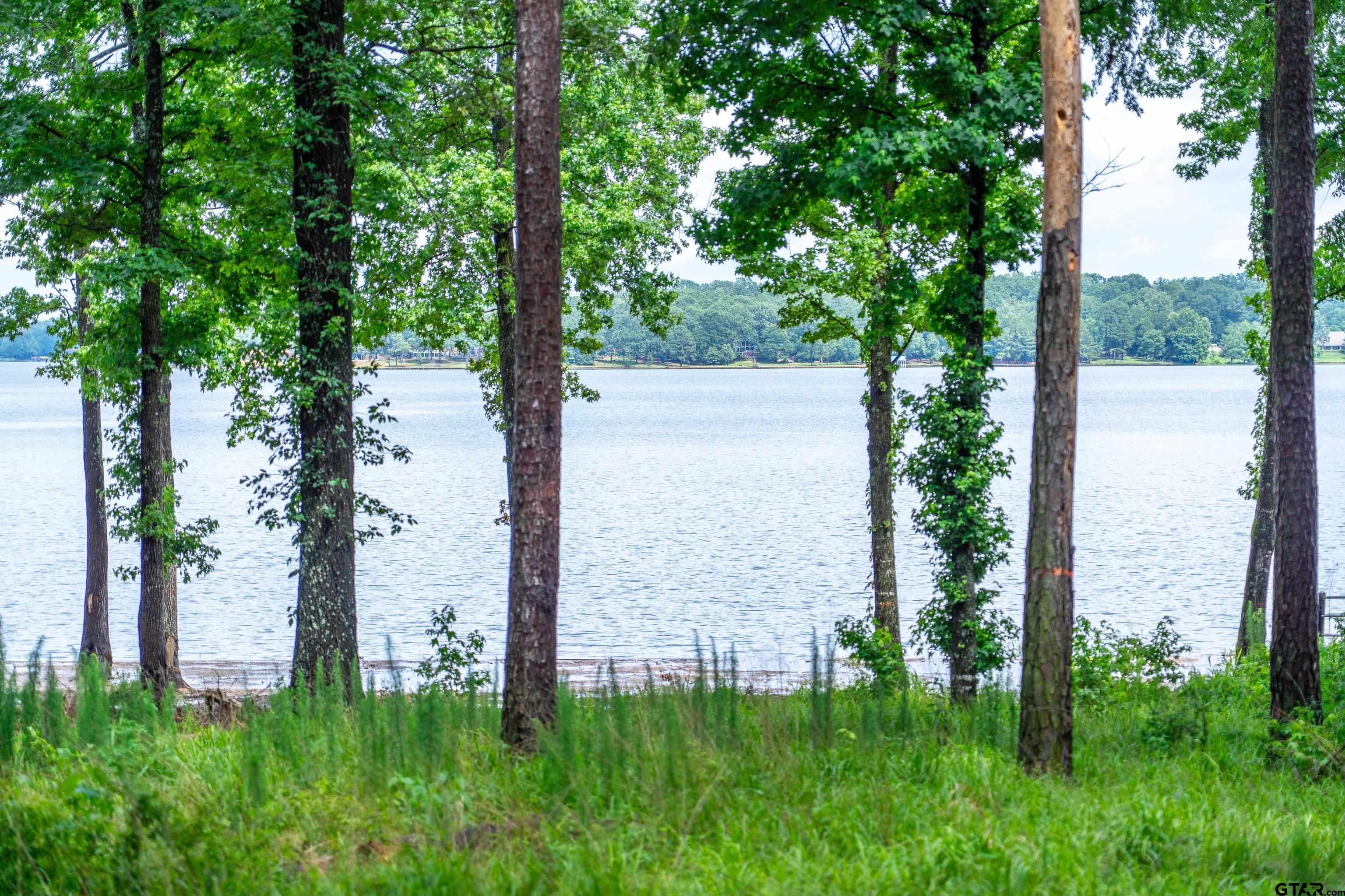 Scroggins, Texas, 75480, United States, ,Land,For Sale,1975863