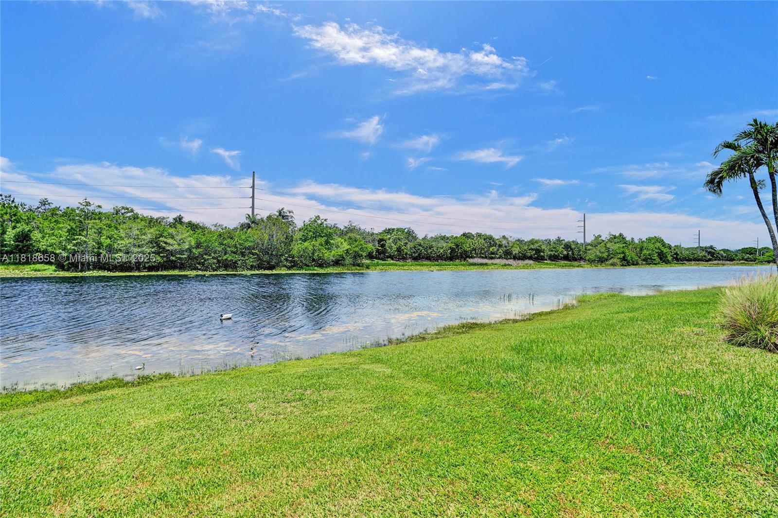 Weston, Florida, 33327, United States, 6 Bedrooms Bedrooms, ,4 BathroomsBathrooms,Residential,For Sale,1850132