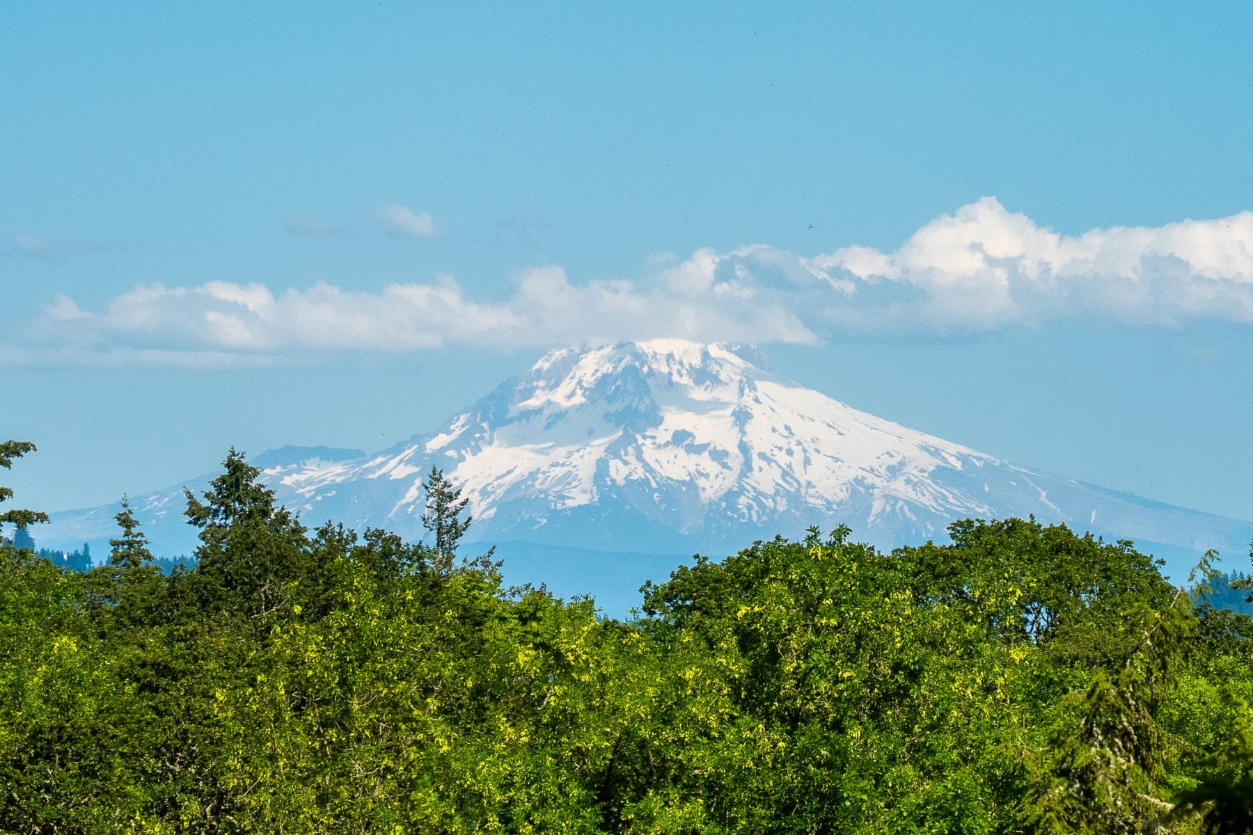  2030 S MILITARY RD Portland, OR 97219 - 物件實景