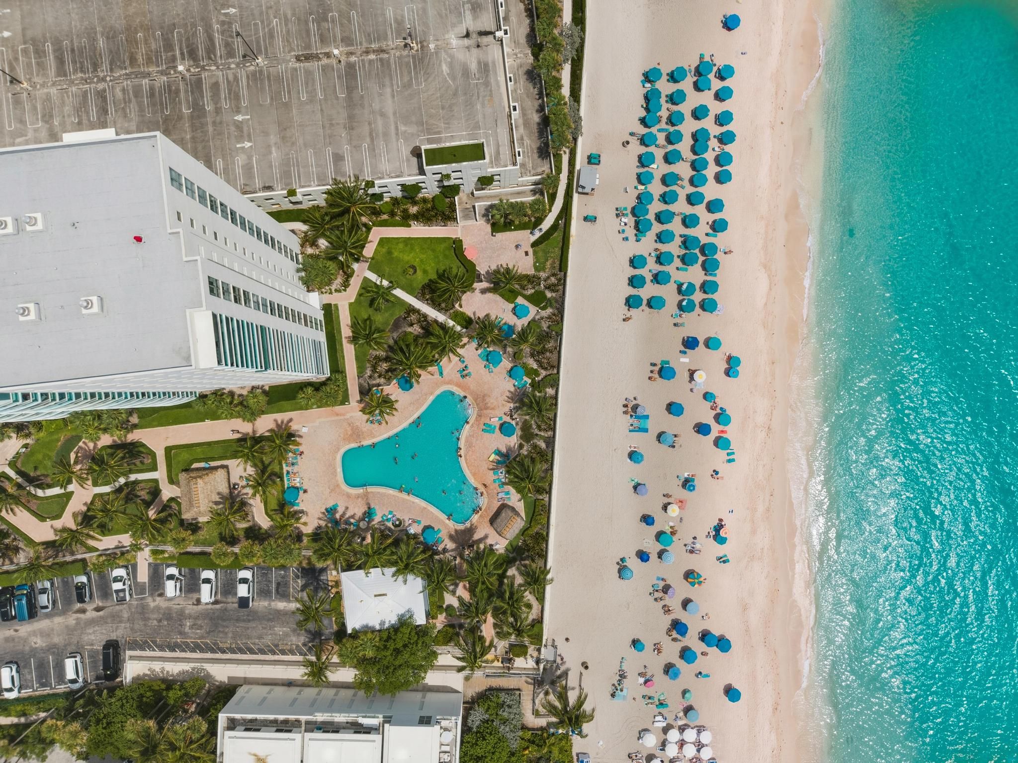  3901 S Ocean Dr, Hollywood, FL, 33019 - 物件實景