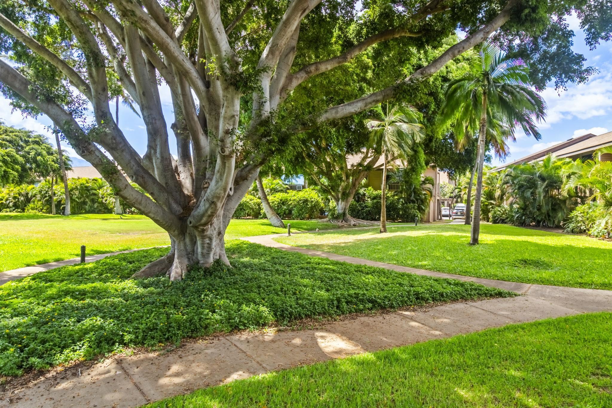 Kihei, Hawaii, 96753, United States, 3 Bedrooms Bedrooms, ,2 BathroomsBathrooms,Residential,For Sale,1901251