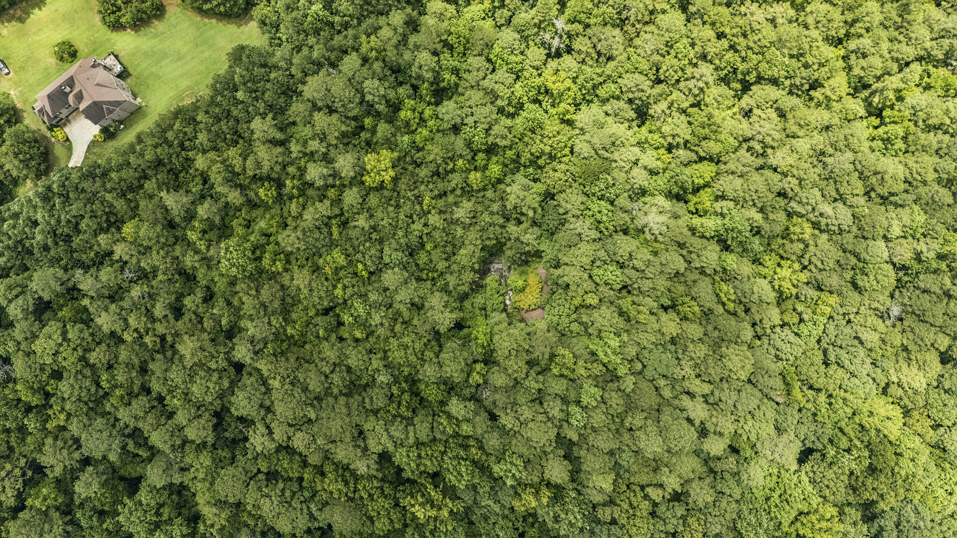  Incredible Development Opportunity on Over Ten Acres on Prime Stockbridge Site - 物件實景