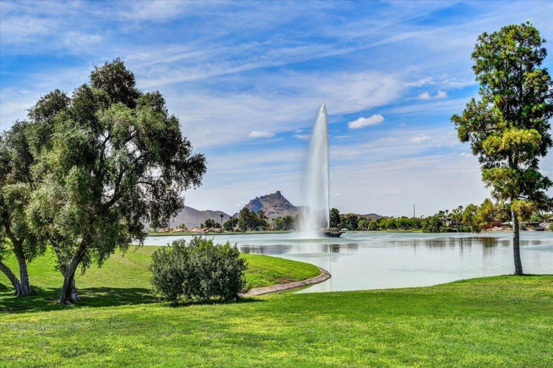  10806 N Cherry Hills Court¦Fountain Hills, AZ - 物件實景