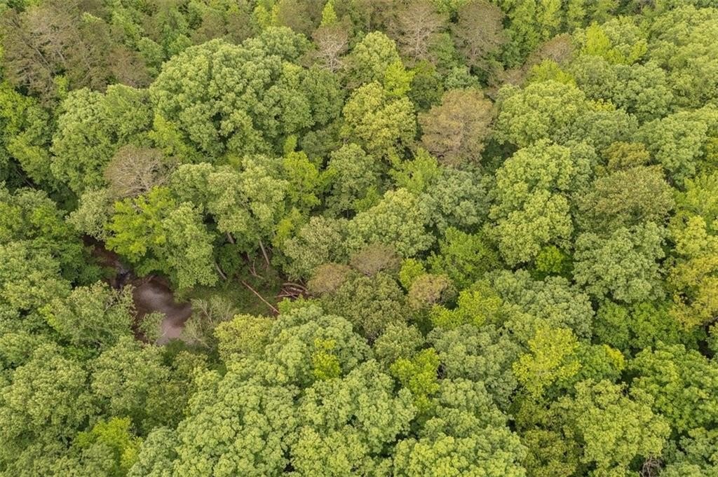 Jasper, Georgia, 30143, United States, ,Land,For Sale,2005889