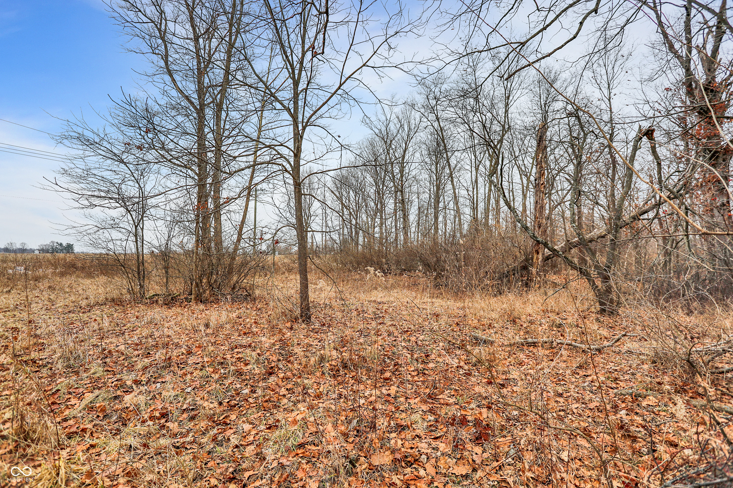 Arcadia, Indiana, 46030, United States, ,Residential,For Sale,2009642