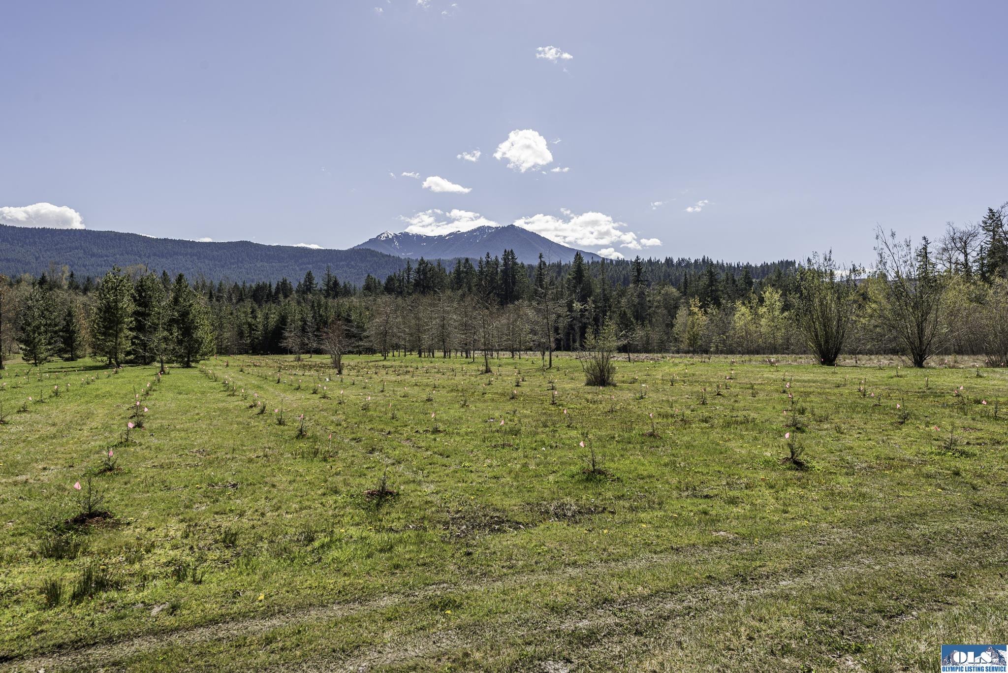 Sequim, Washington, 98382, United States, ,Land,For Sale,1787569