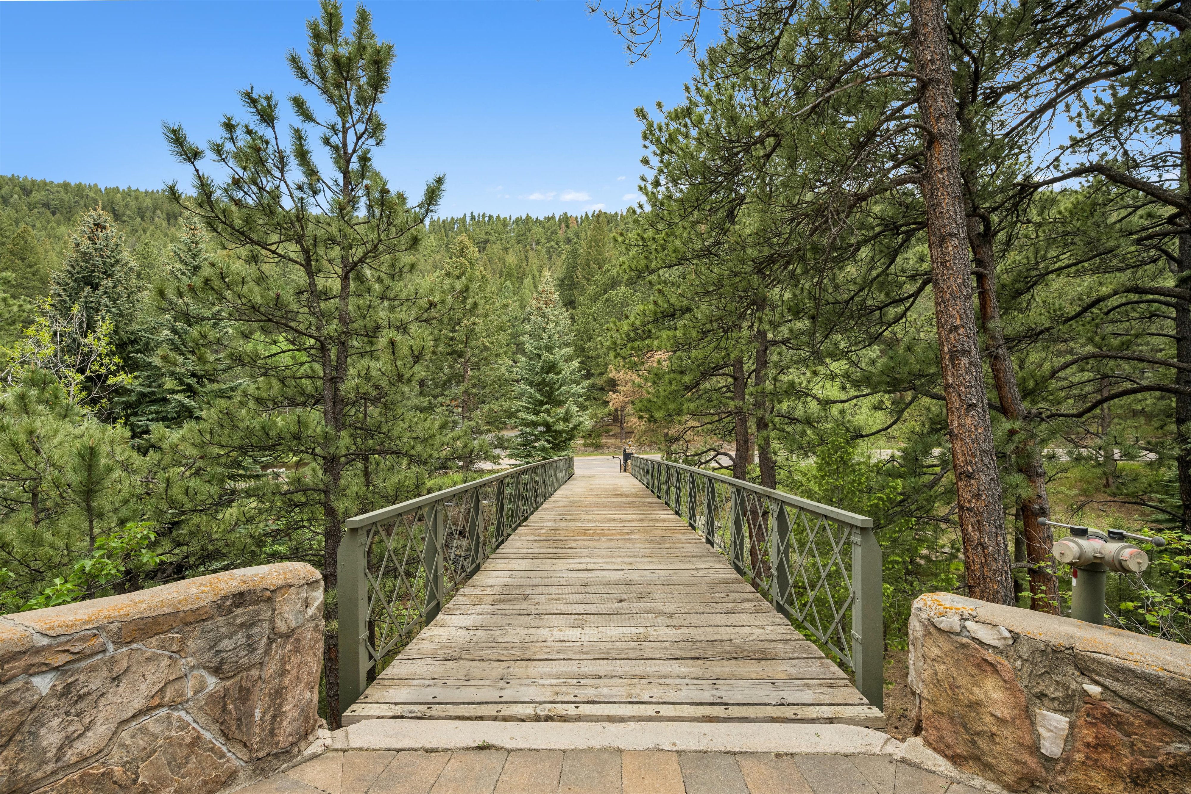  Luxury Mountain Estate in Celebrated Upper Bear Creek - 物件實景