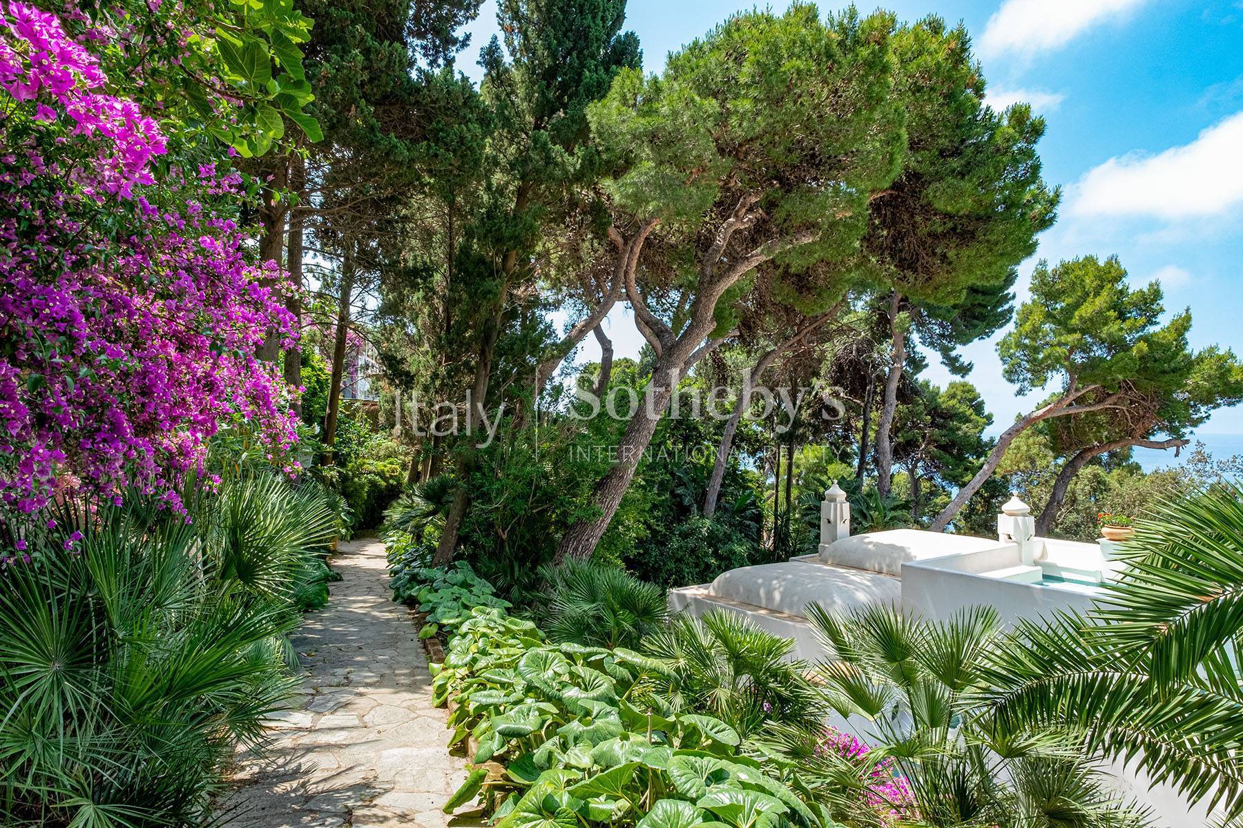  Monumental historic estate in the heart of Capri - 物件實景