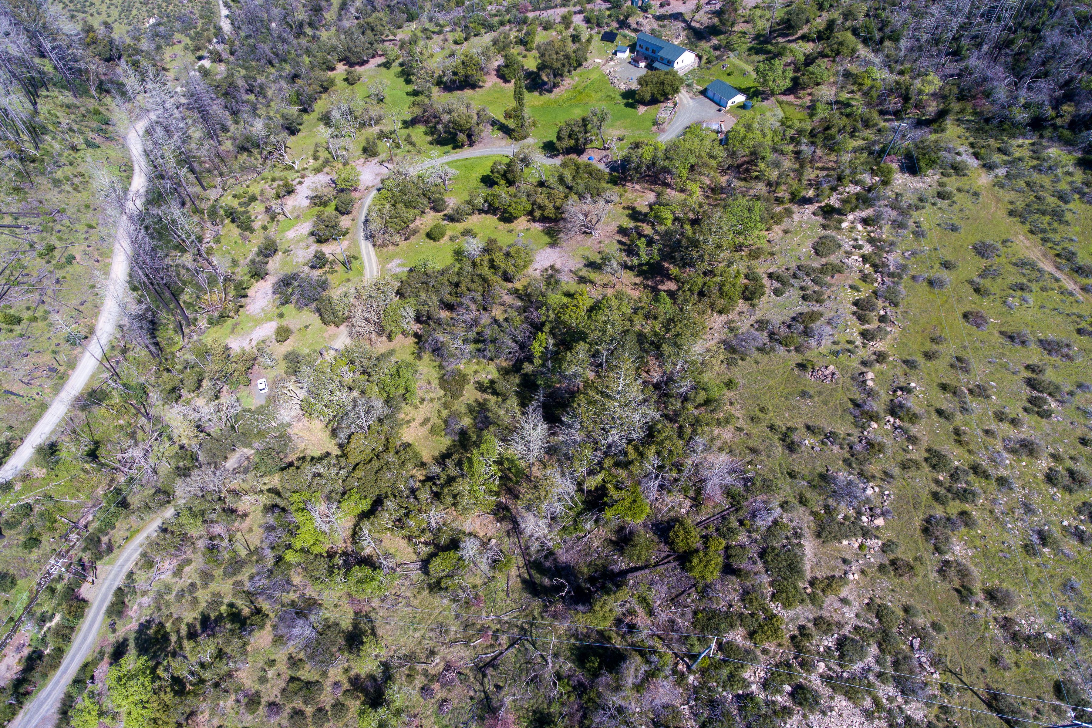  7935 St Helena Road - 物件實景
