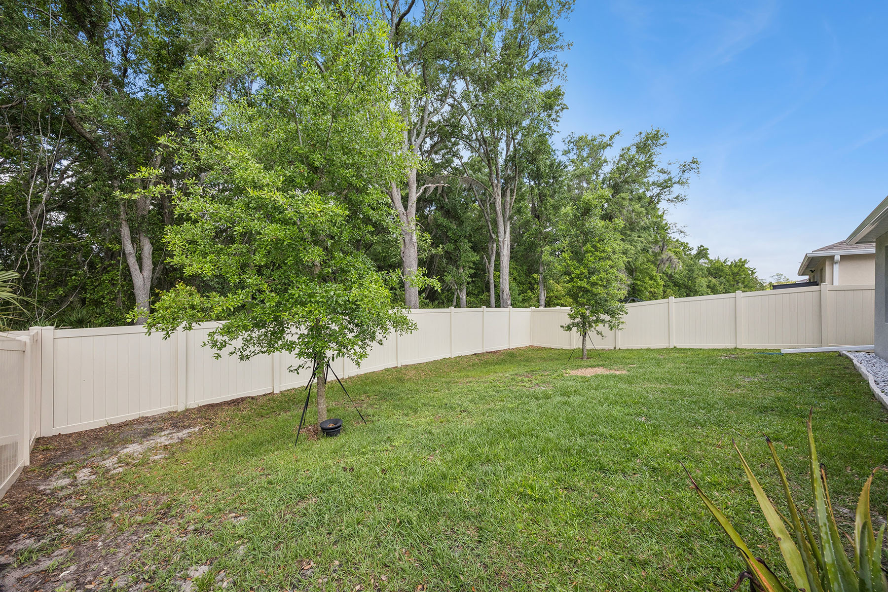  DAVENPORT - 物件實景