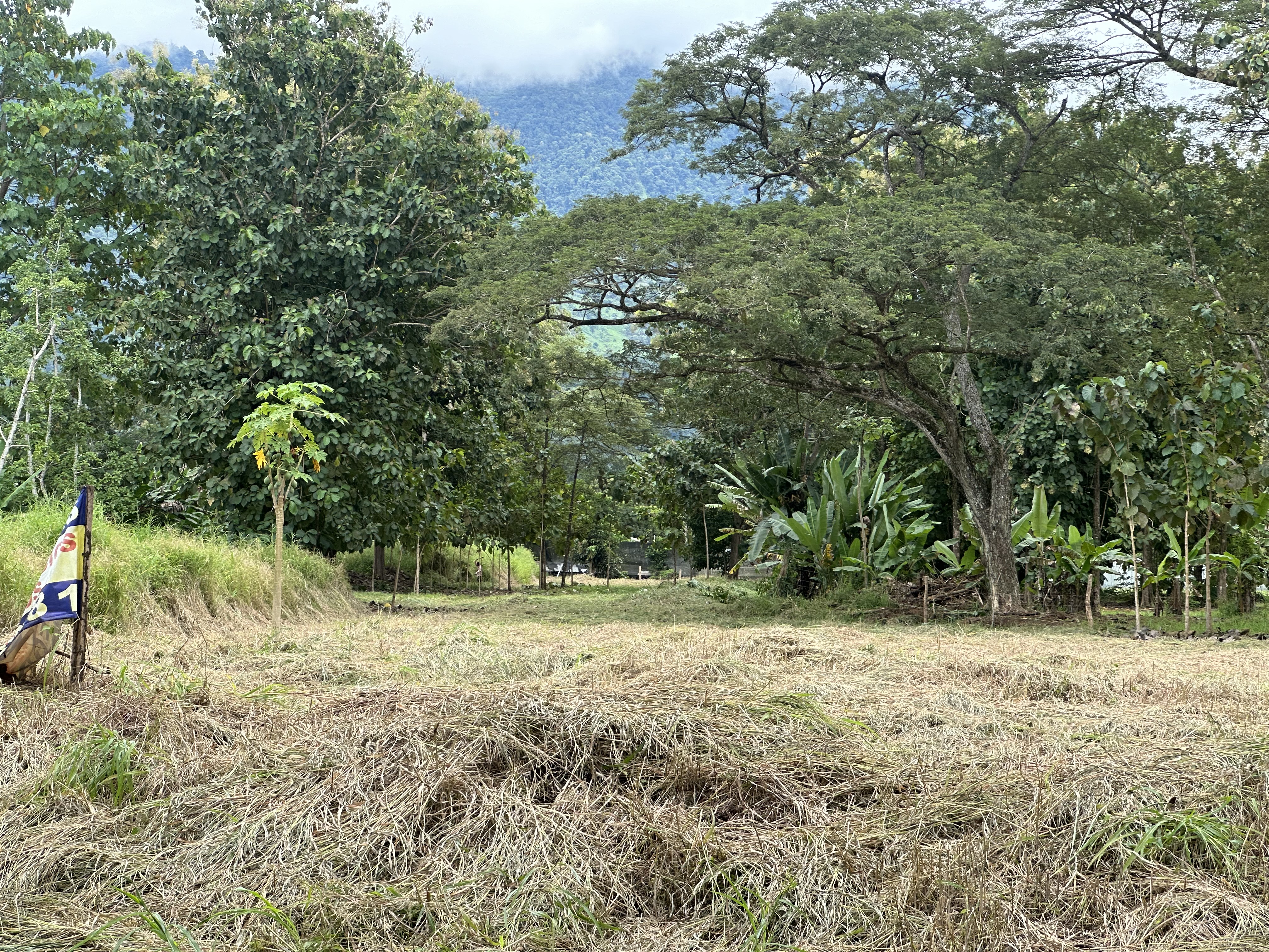 Palmar Norte, Palmar, Puntarenas, CR, ,Land,For Sale,Palmar Norte,1667866