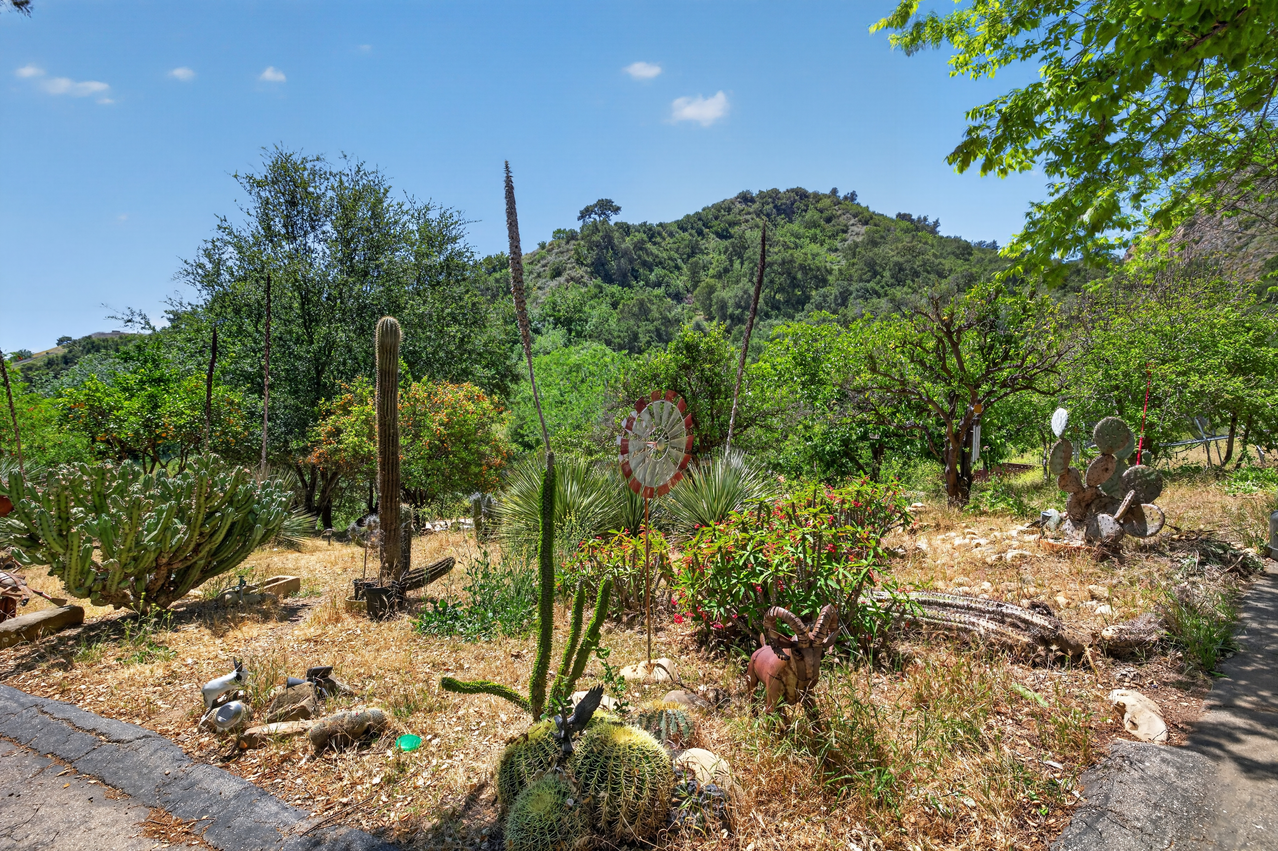  8416 Wheeler Canyon Road, Santa Paula, CA 93060 - 物件實景