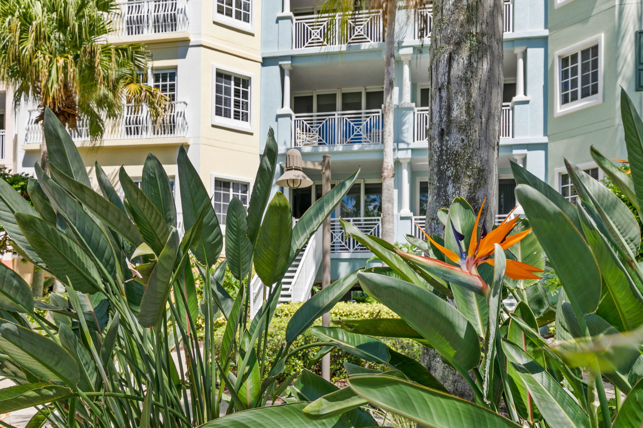  102 Yacht Harbor Drive, Palm Coast, FL, 32137 - 物件實景