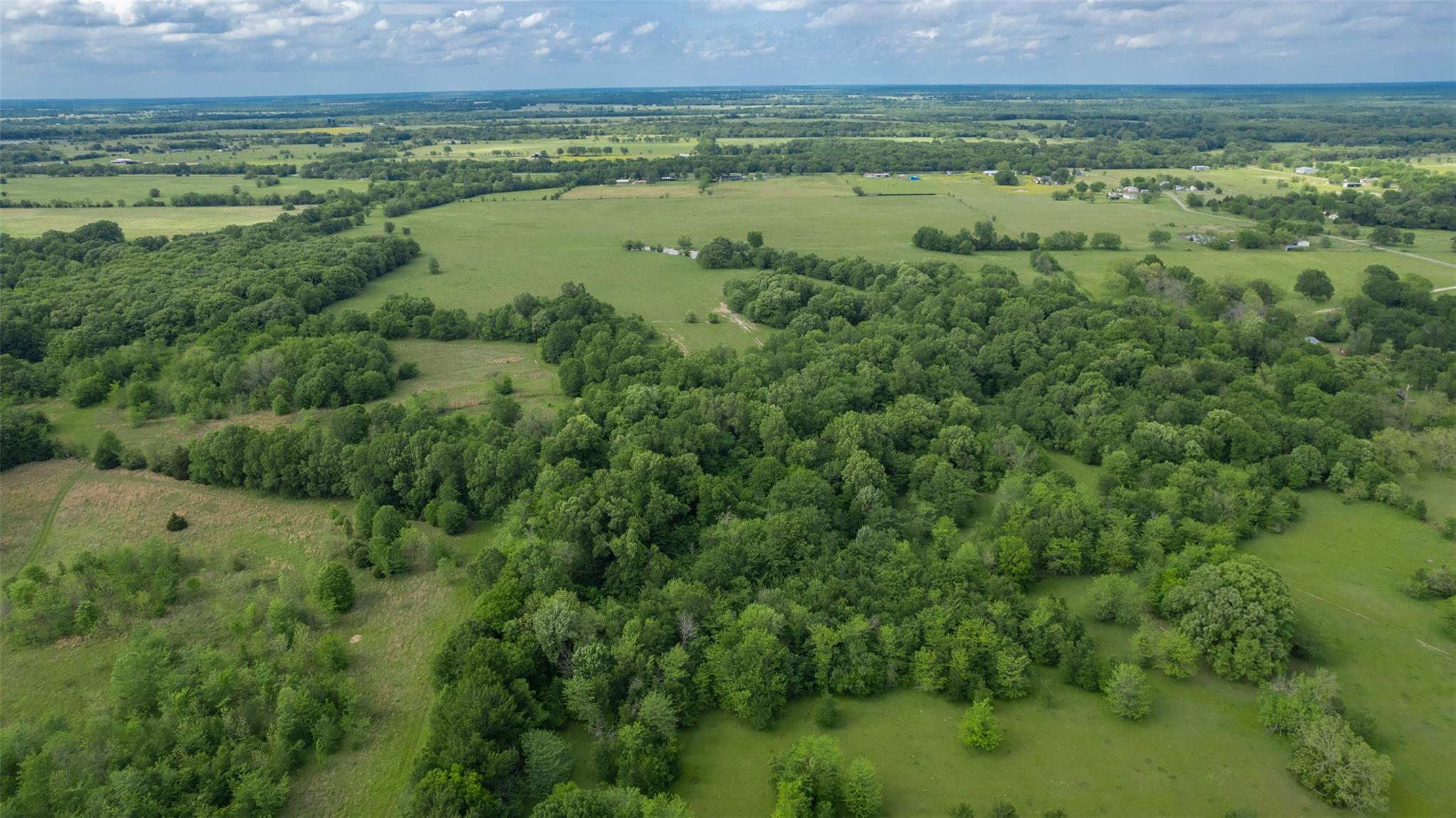 Commerce, Texas, 75428, United States, ,Residential,For Sale,1810631