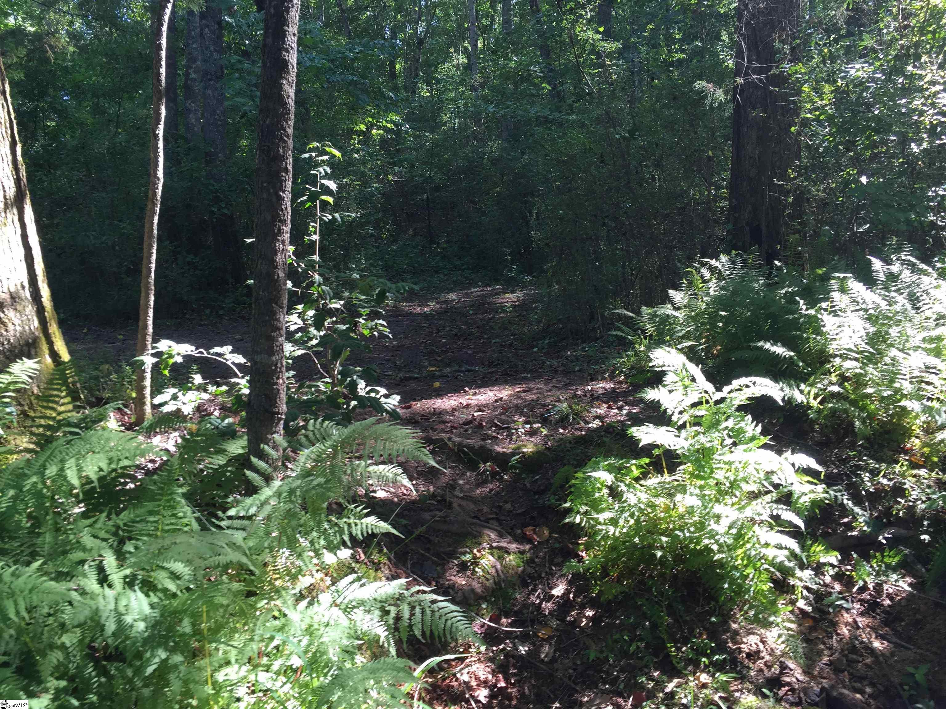 Pickens, South Carolina, 29671, United States, 4 Bedrooms Bedrooms, ,4 BathroomsBathrooms,Residential,For Sale,1975286