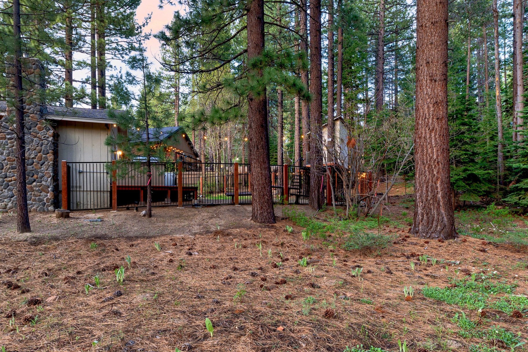  Move-In Ready 4 Bedroom Beauty  2022 Remodel  Fenced Yard, Forest Setting - 物件實景