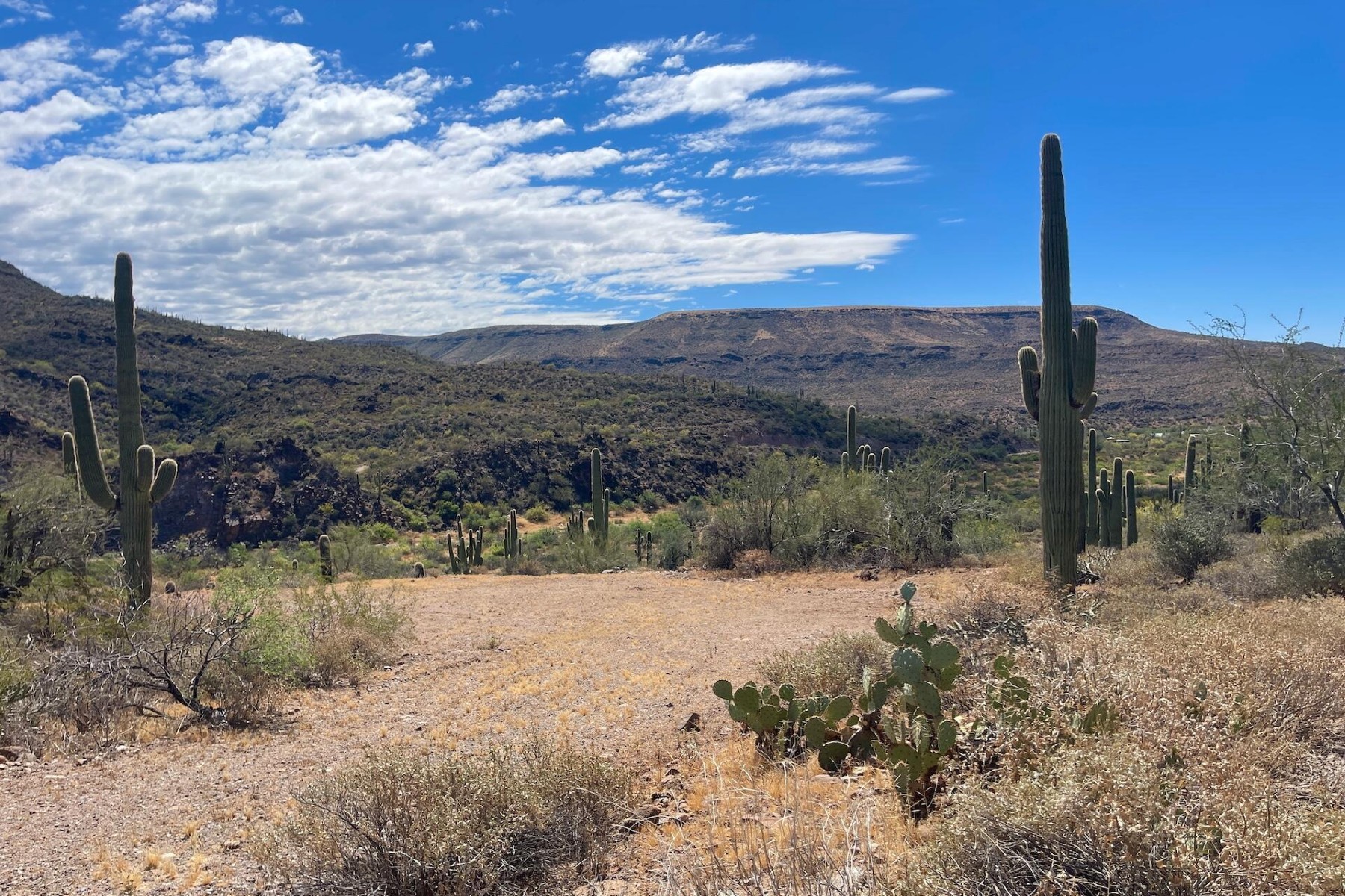  31900 S Tillys Trail¦Black Canyon City, AZ - 物件實景