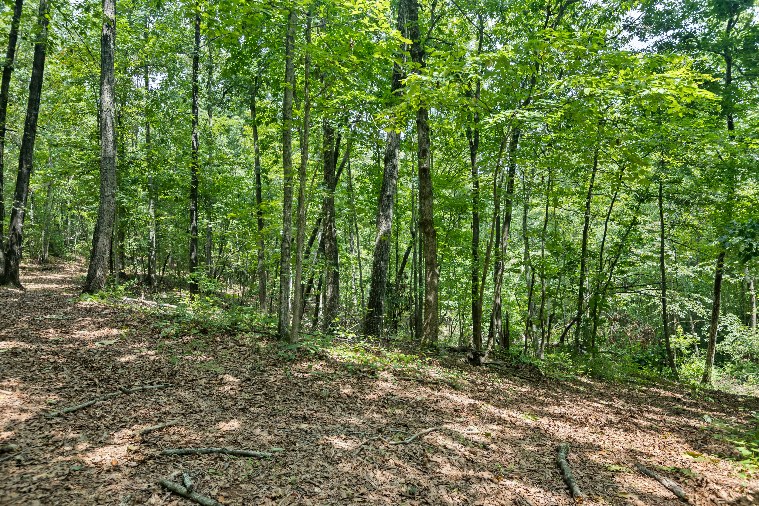  3765 South Carolina 11, Pickens, SC 29671 - 物件實景