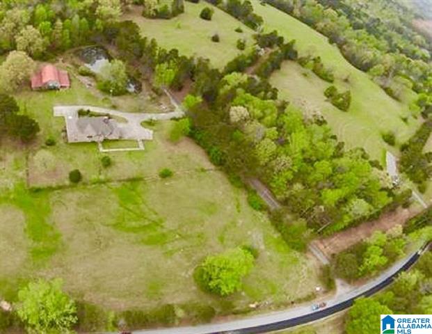 Odenville, Alabama, 35120, United States, 5 Bedrooms Bedrooms, ,5 BathroomsBathrooms,Residential,For Sale,1975337