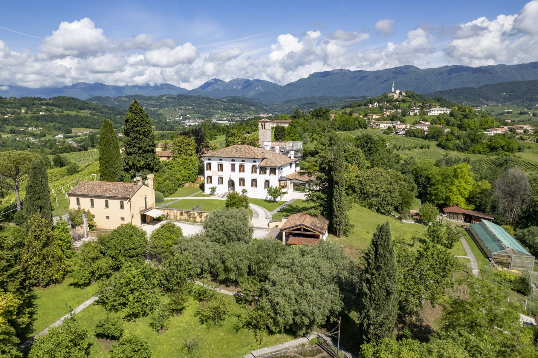  Hillside villa with olive grove and caretaker