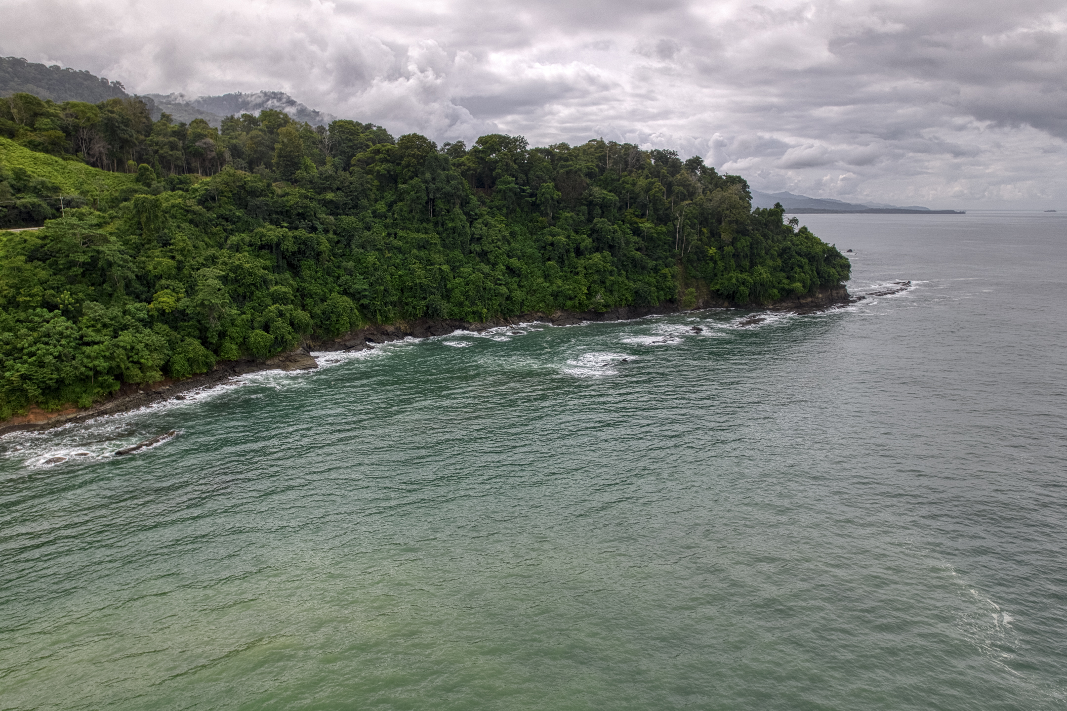 Dominical, Puntarenas, CR, ,Land,For Sale,1839872