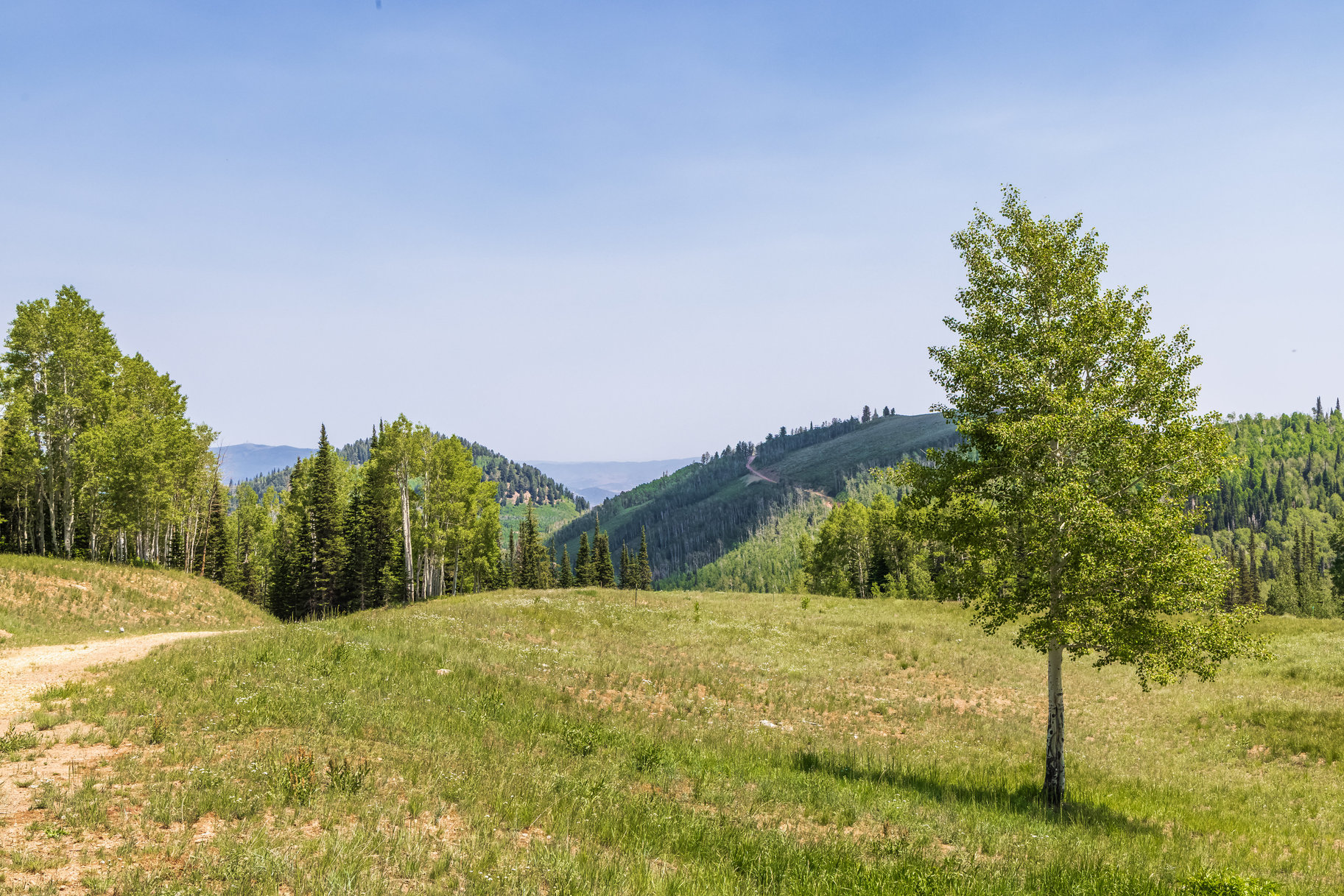  Incredible 28 Acre Estate Lot in the Colony at White Pine Canyon - 物件實景