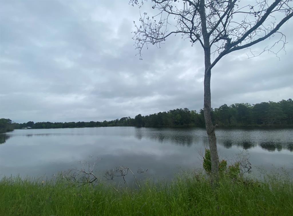 Shreveport, Louisiana, 71119, United States, ,Land,For Sale,2001998