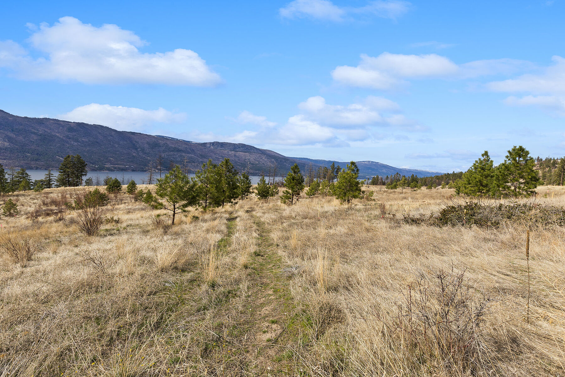  Lot 20 at Tyndall Bench - 物件實景